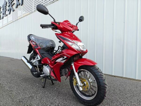 MOTOR6